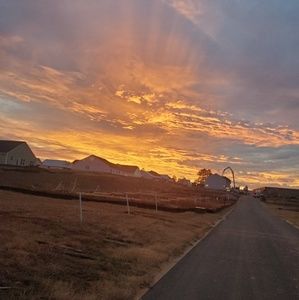 Meet your Posher, Benny